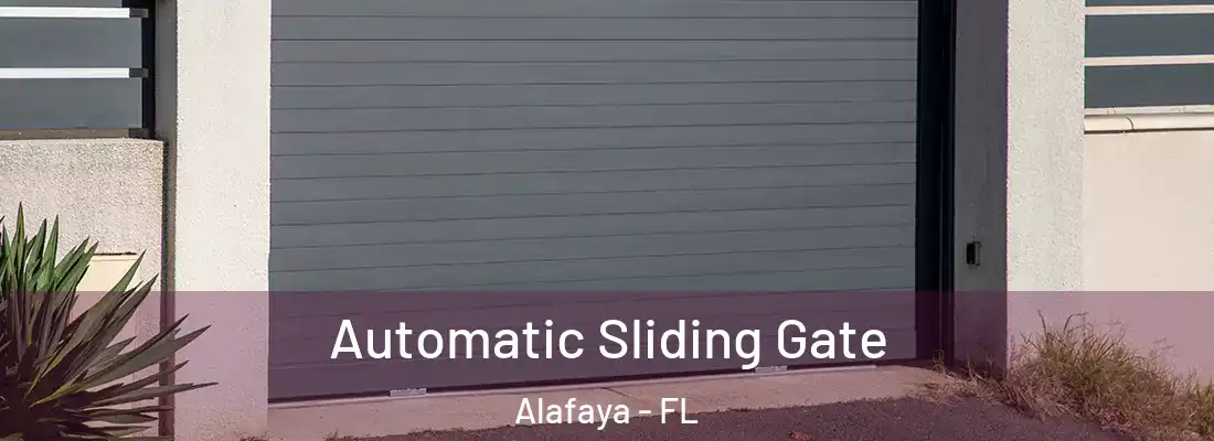  Automatic Sliding Gate Alafaya - FL