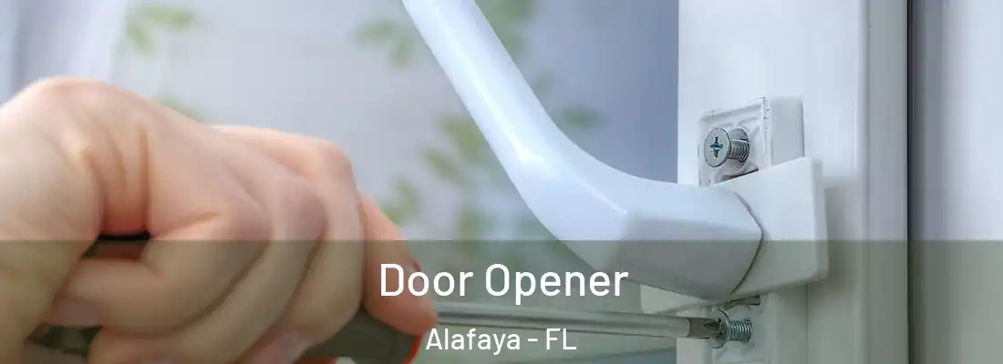  Door Opener Alafaya - FL