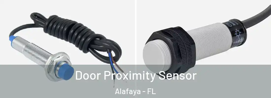  Door Proximity Sensor Alafaya - FL