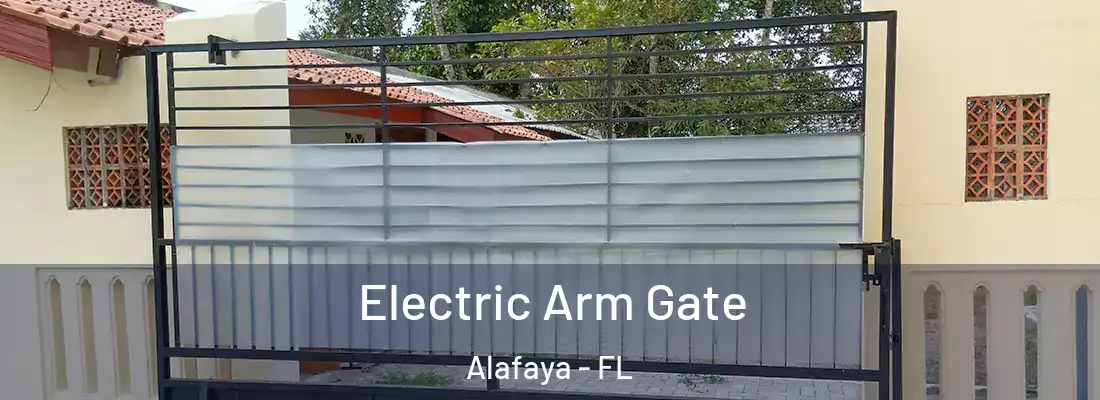  Electric Arm Gate Alafaya - FL