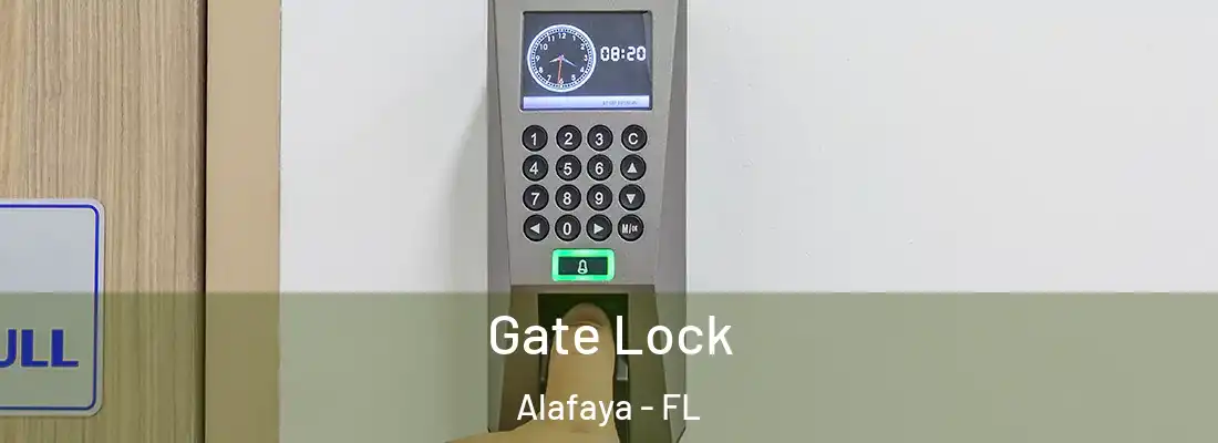 Gate Lock Alafaya - FL