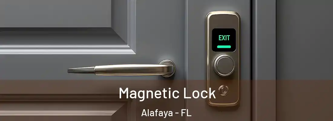  Magnetic Lock Alafaya - FL